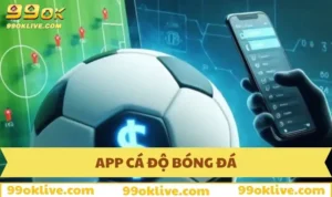 App Cá Độ Bóng Đá - Cách Tải Và Lợi Ích Khi Sử Dụng 344 app cá độ bóng đá
