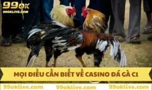 Đá Gà C1 - Mọi Điều Cược Thủ Cần Biết Trong Năm 2025 344 Đá gà C1